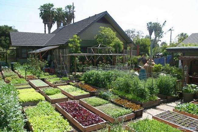 Learn How To Grow Over 6000 Pounds of Food Per Year on Just 1/10th Acre of Land