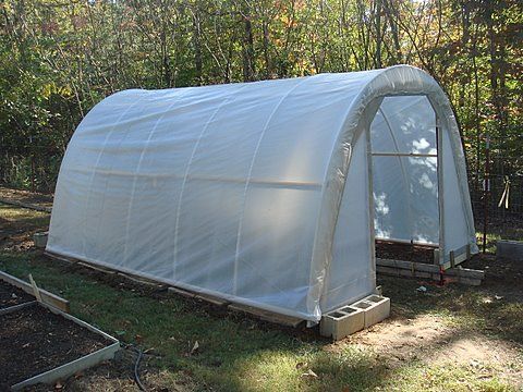 How to Build a Greenhouse That Costs Only 50 Dollars