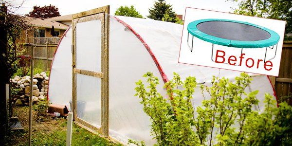 How to Create a Greenhouse out of a Trampoline