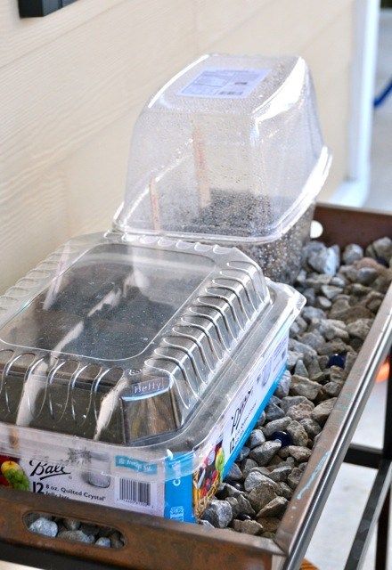 Mini Greenhouse in Recycled Container