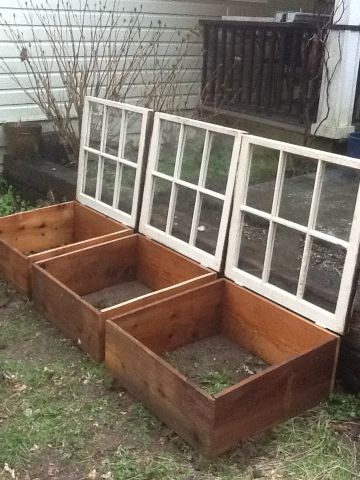 Easy Cold Frames from Old Windows