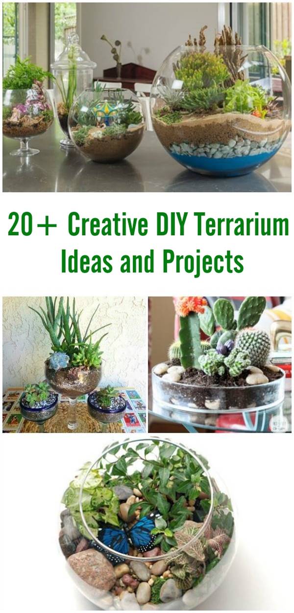 20+ Creative DIY Terrarium Ideas and Projects