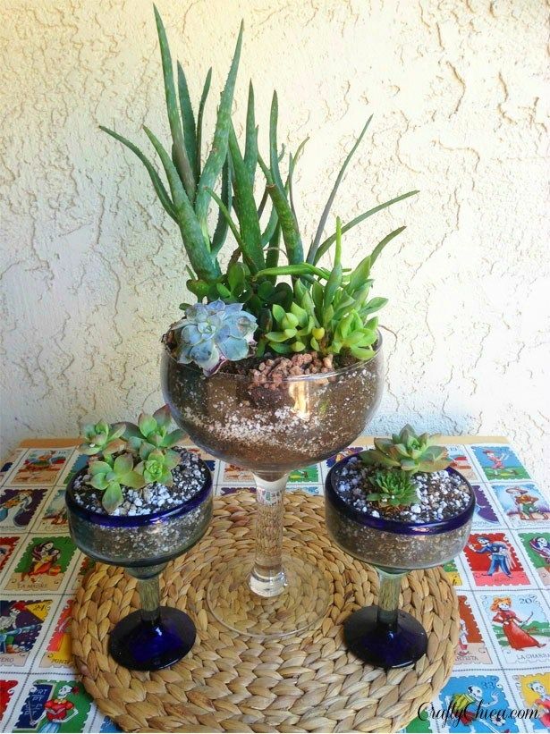 DIY Margarita Glass Cactus Garden