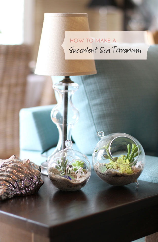 How To Make A Succulent Sea Terrarium