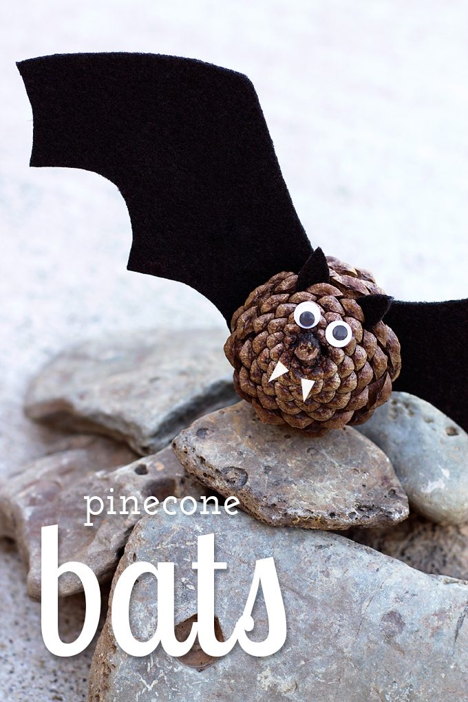 East Pinecone Bats
