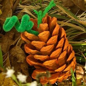 Pine Cone Pumpkin Crafts