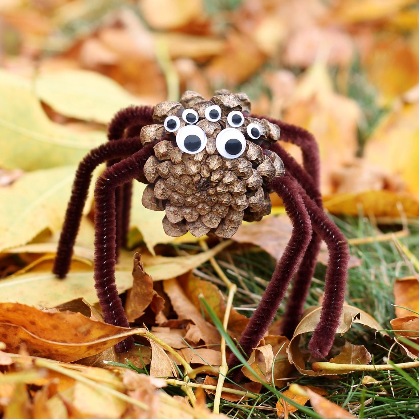 How to Make Pinecone Spiders